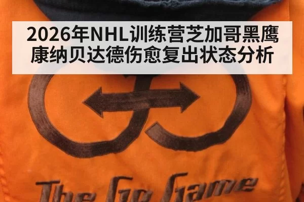 2026年NHL训练营芝加哥黑鹰康纳贝达德伤愈复出状态分析